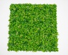 Bolzz ZELENI ZID 3D AMAZON 2 100X100 CM BOLZZIDAMA2