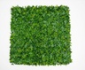 Bolzz ZELENI ZID 3D TARA 2 100X100 CM BOLZZIDTAR2