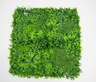 Bolzz ZELENI ZID 3D AMAZON 1 100X100 CM BOLZZIDAMA1