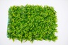Bolzz ZELENI ZID 3D FLORA 40X60 CM BOLZZIDFLORA