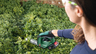 BOSCH AdvancedShear18V-10 (1x 2,0Ah+punjač AL1810) akumulatorske makaze za oblikovanje grmova i žive ograde 0600857000