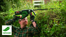 BOSCH AdvancedHedgeCut 36V-65-28 makaze za živu ogradu, akumulatorske