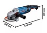 BOSCH Professional ugaona brusilica GWS 30-180 PB Solo alat 06018G0100