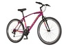 Bicikl venssini arcadia 27" bordo roze