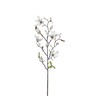 Dekordom Cvet magnolia 75cm 1009102 - white - edl