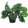 Dekordom Cvet u saksiji - monstera zd-bybg19(a)-pgj5 - 32cm - n55