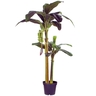 Dekordom Drvo u saksiji banana 180cm 999104 - edl
