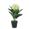 Dekordom Cvet u saksiji - hydrangea bj10/1 - 30cm - n55