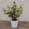 Dekordom Cvet u saksiji - succulent 0038-38a - n38