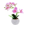 Dekordom Cvet orchid fh2637 - n13