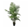 Dekordom Drvo u saksiji areca palm 160cm 1026427 - edl