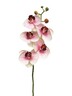 Dekordom Cvet orchid 58cm 13015-7 - pink - nnt
