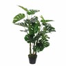 Dekordom Drvo monstera 100cm 1026437 - edl