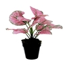 Dekordom Cvet u saksiji - monstera pink zd-241321r - 36cm - n55