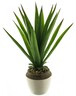 Dekordom Cvet u saksiji aloe 46cm 51929-1 - green - nnt