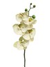Dekordom Cvet orchid 58cm 13015-0 - white - nnt