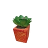 Dekordom Cvet u saksiji - succulent cube 654 - n44