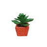 Dekordom Cvet u saksiji - succulent cube 654 - n44