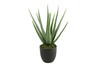 Dekordom Cvet u saksiji aloe 49cm 768198 - green - dcs