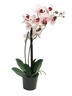 Dekordom Cvet u saksiji orchid 50cm 51344-7 - pink - nnt