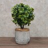 Dekordom Cvet u saksiji - bonsai lv001 - n38