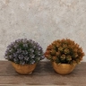 Dekordom Cvet u saksiji - succulent hx0461 - n38