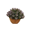 Dekordom Cvet u saksiji - succulent hx0461 - n38