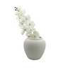 Dekordom Cvet orchid large - n59