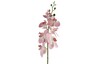 Dekordom Cvet orchid 83cm 796074 - pink - dcs