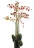 Dekordom Cvet u saksiji orchid 110cm 51341-7 - pink - nnt