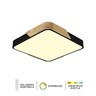 Forma Plafonska lampa F2812-20C BK+WD