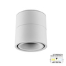 Forma LED nadgradna lampa LN-07-9 CCT WH