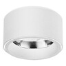 Forma LED nadgradna lampa LN-03-5 WH