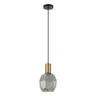 Forma Viseća lampa F7039-1V BK+SM