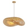 Forma Viseća lampa F7850-1V NT