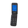 Panasonic KX-TU400EXG, Sivi Standardni Mobilni Telefon