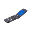 Panasonic KX-TU400EXG, Sivi Standardni Mobilni Telefon