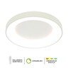 Forma LED plafonska lampa F2049-86C WH
