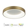 Forma LED plafonska lampa F2049-66C SGA