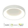 Forma LED plafonska lampa F2049-66C WH