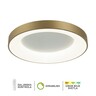 Forma LED plafonska lampa F2049-86C SGA