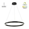 Forma LED visilica F2048-56V BK