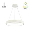 Forma LED visilica F2049-66V WH