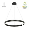 Forma LED visilica F2046-56V BK