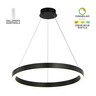 Forma LED visilica F2048-44V BK