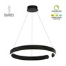Forma LED visilica F2046-42V BK