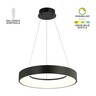 Forma LED visilica F2049-66V BK