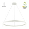 Forma LED visilica F2048-70V WH
