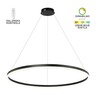 Forma LED visilica F2047-70V BK