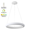 Forma LED Visilica PL6005-72V